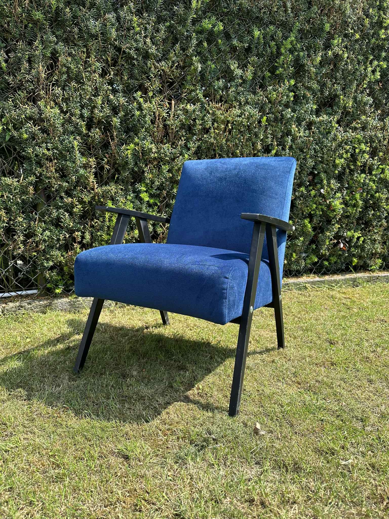 Niebieski fotel tapicerowany z czarnymi drewnianymi nogami stoi na trawie przed zielonym żywopłotem. Fotel w stylu retro, odnowiony.