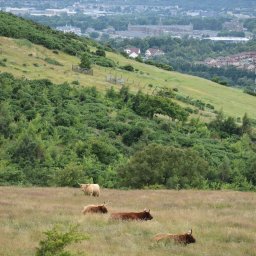 Wycieczki i wczasy Gdańsk 1