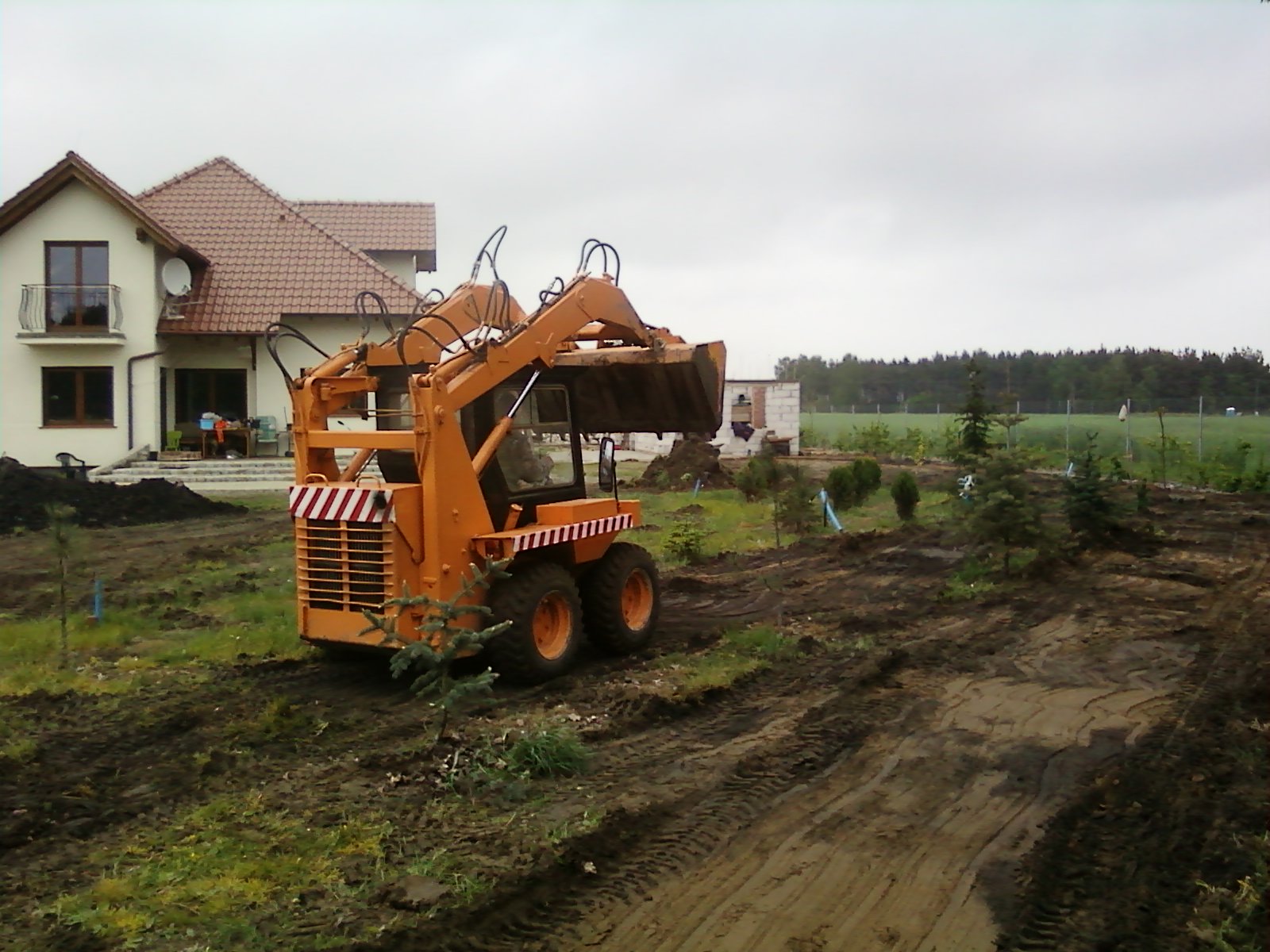 Pomarańczowa miniładowarka na błotnistym terenie działki z młodymi drzewkami, w tle dom jednorodzinny i niewielki budynek gospodarczy.