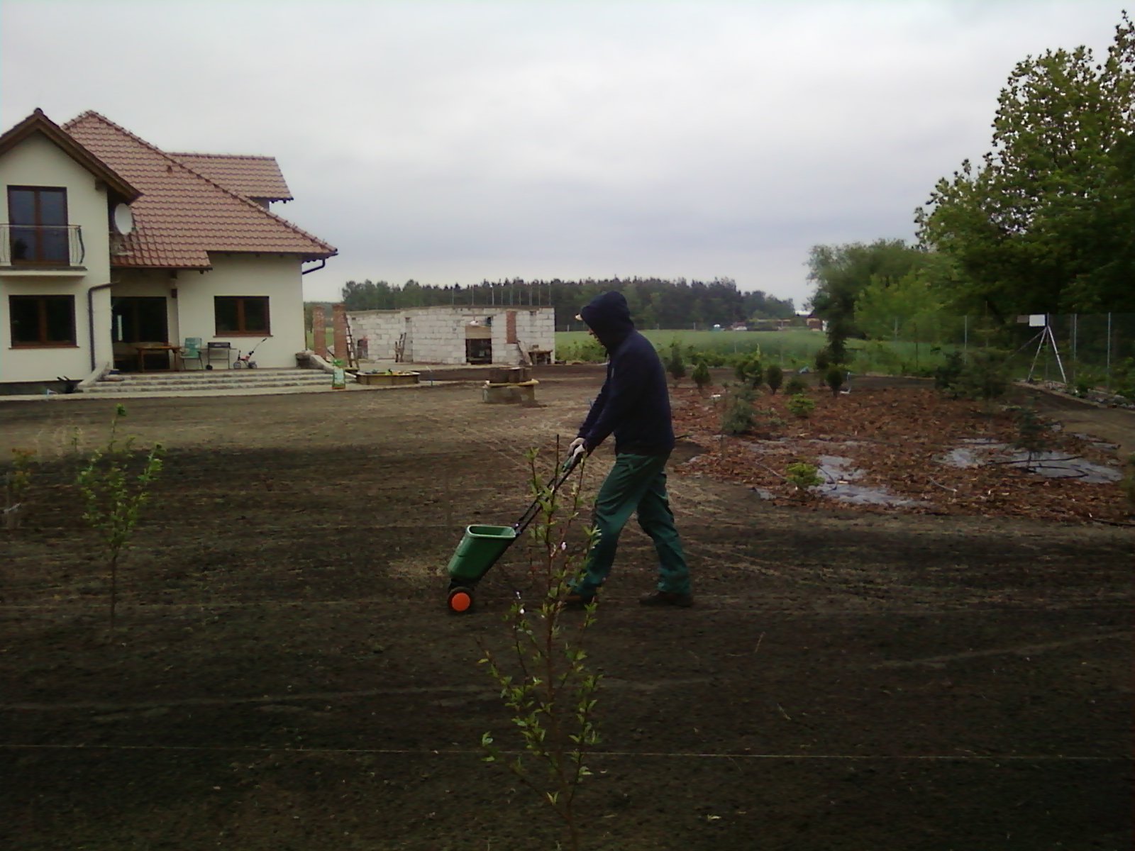 Wycinanie drzew, karczowanie zarośli, formowanie żywopłotów