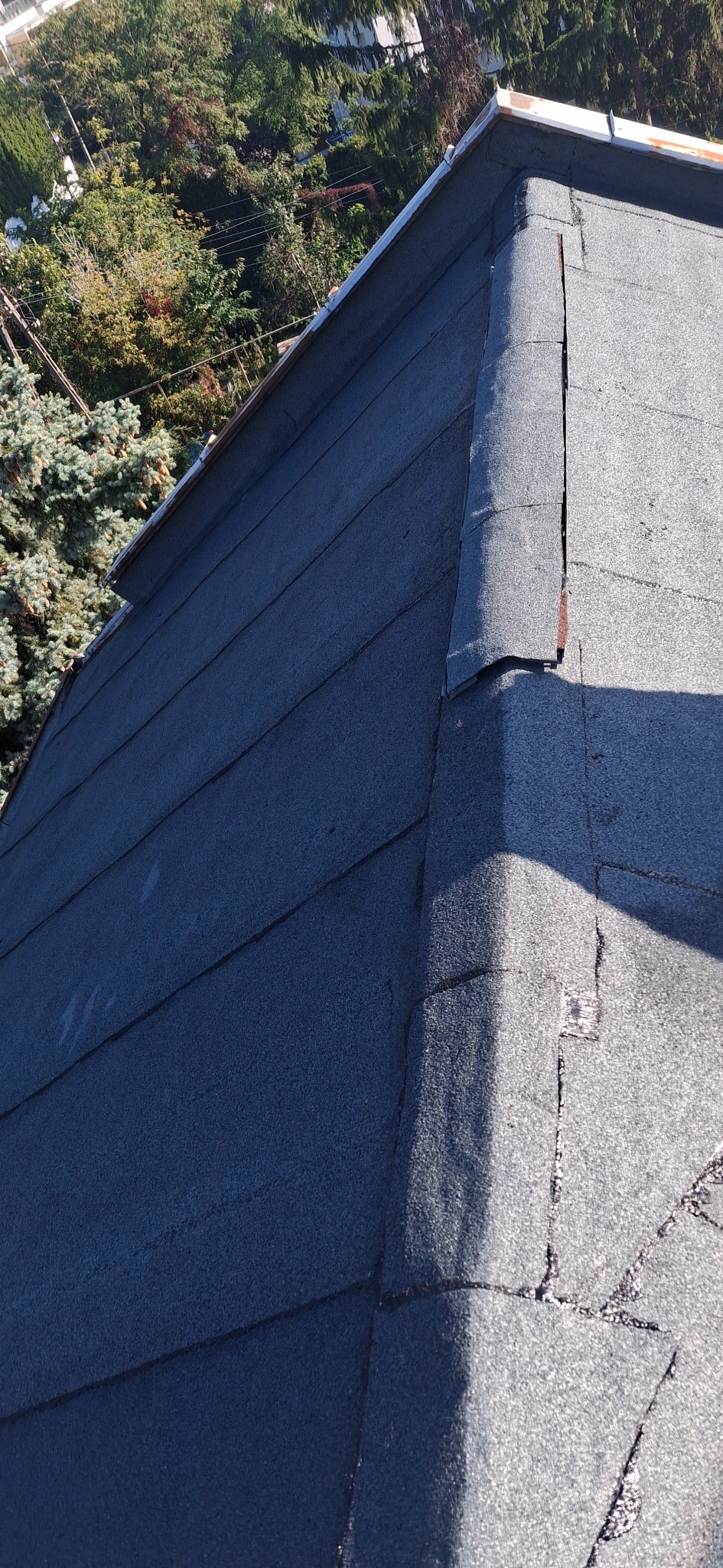 Fragment dachu pokrytego papą bitumiczną. Widoczne uszkodzenia w postaci pęknięć i odklejonych fragmentów papy na krawędzi dachu. Tło stanowią drzewa.