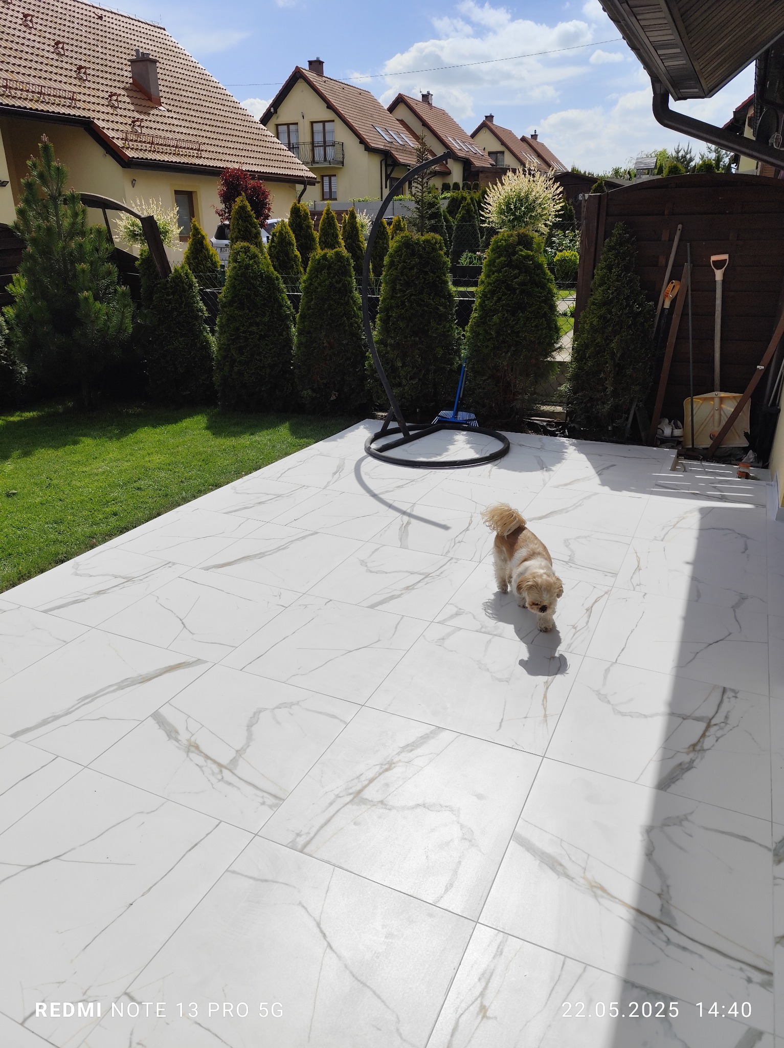 Jasne, marmurowe płytki tarasowe na zewnątrz domu. W tle widoczne tuje i domy jednorodzinne. Mały pies spaceruje po nowej nawierzchni.
