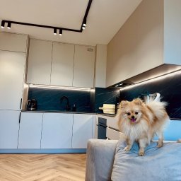 Studio Verde Kuchnie - 