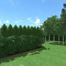 Wizualizacja ogrodu z równo przyciętym żywopłotem, rzędem brzóz o białej korze i trawnikiem pod błękitnym niebem.