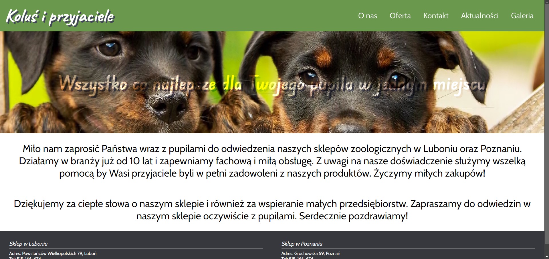 Strona internetowa sklepu zoologicznego kolusiprzyjaciele.pl z dwoma szczeniakami rasy Rottweiler w nagłówku.