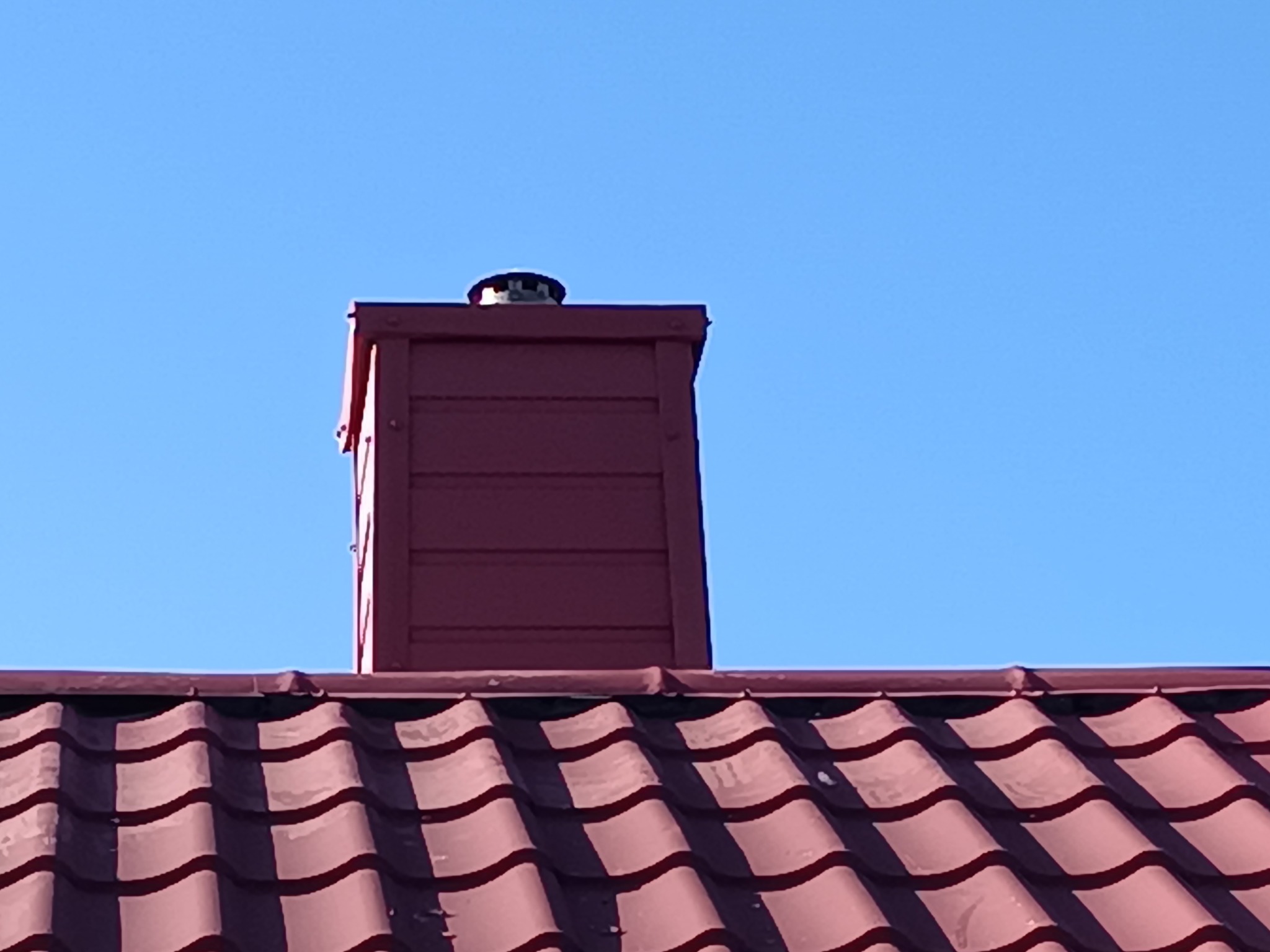 Czerwony komin z daszkiem na dachu z dachówki ceramicznej, sfotografowany pod błękitnym niebem w słoneczny dzień. Widok z dołu.