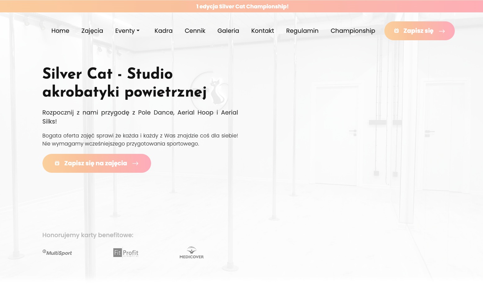 Strona internetowa studia akrobatyki powietrznej Silver Cat, prezentująca ofertę zajęć Pole Dance, Aerial Hoop i Aerial Silks, z widocznym menu nawigacyjnym i przyciskiem zapisu na zajęcia.