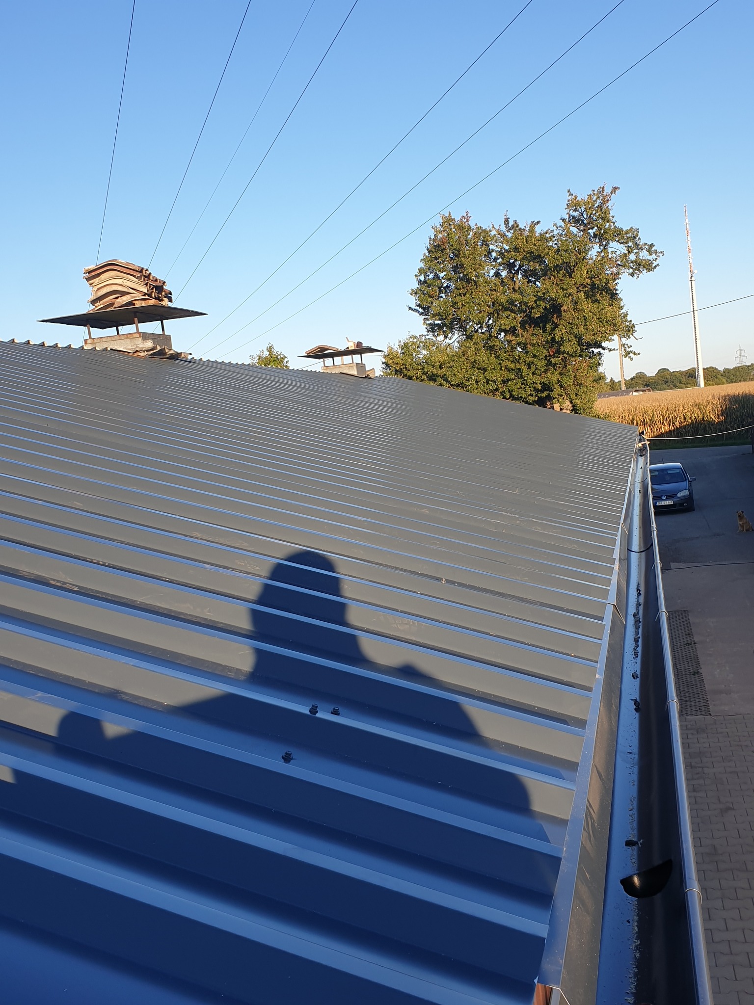 Nowy, blaszany dach z widocznym systemem rynnowym, kominami z nasadami i shadow of the photographer, na tle pola kukurydzy i błękitnego nieba.