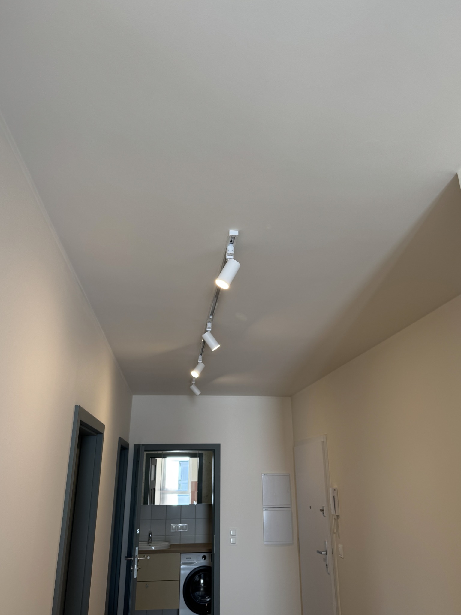 Wykończone wnętrze: jasne ściany, punktowe oświetlenie sufitowe na szynie, drzwi wejściowe i wejście do łazienki z pralką. Minimalistyczny styl.