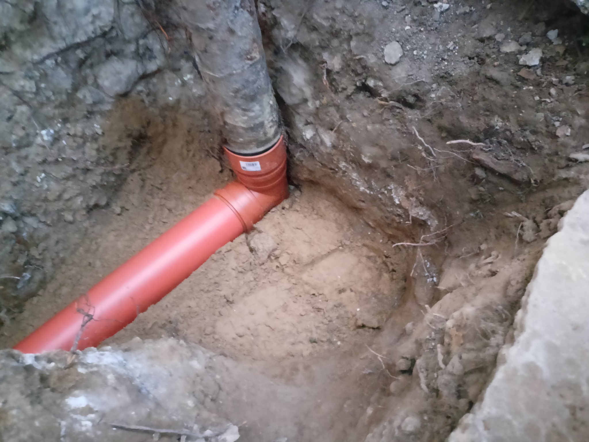 Czerwona rura kanalizacyjna z kolankiem ułożona w wykopie ziemnym, widoczne korzenie i fragment betonowego elementu.