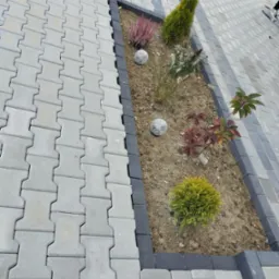 Ułożona szara kostka brukowa w Sztumie z ciemną obwódką, oddzielająca rabatę z roślinami: wrzos, tuja, trawy ozdobne oraz dwie kule dekoracyjne.