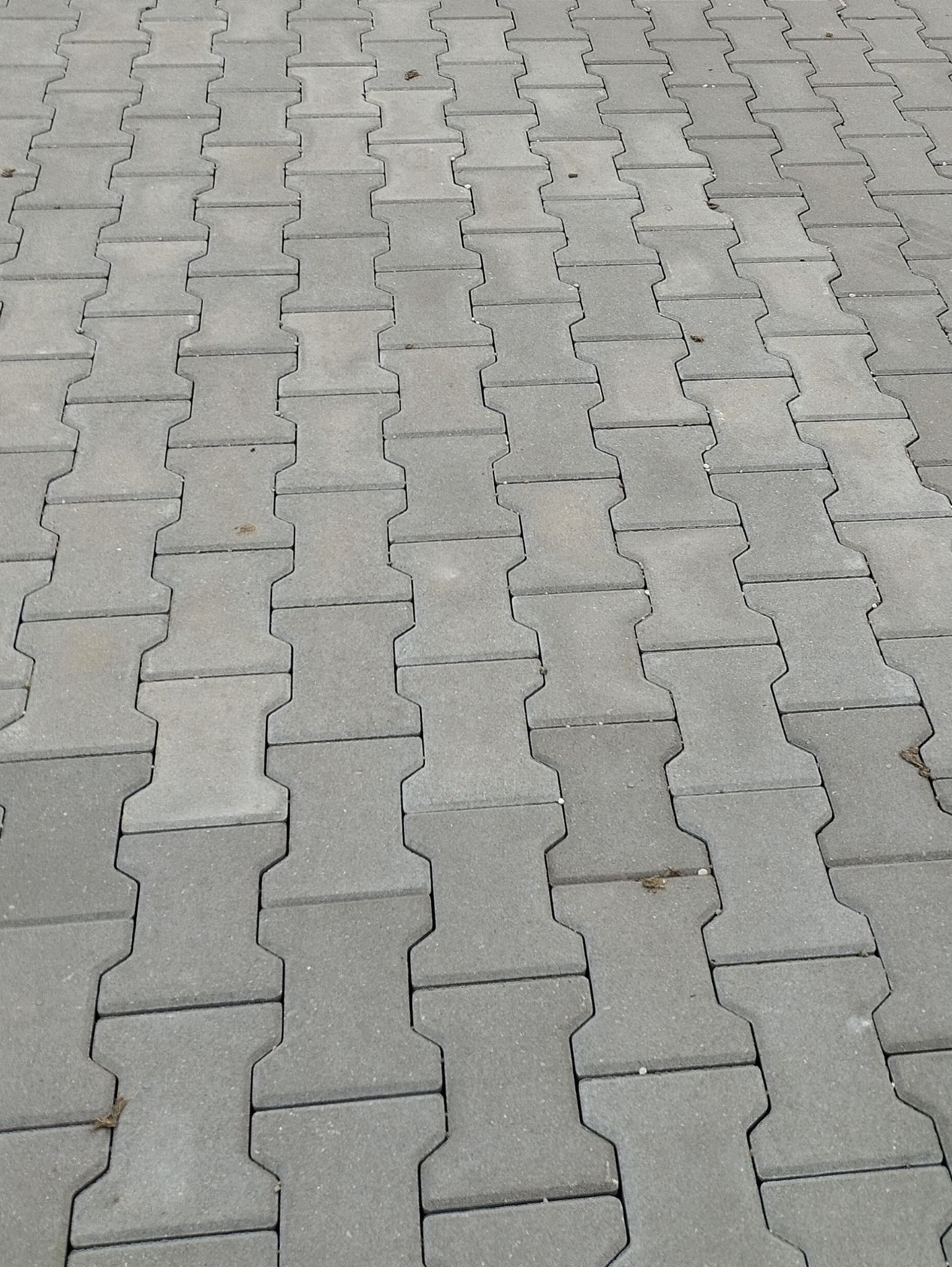 Szara kostka brukowa ułożona w jodełkę, widoczne drobne zanieczyszczenia na powierzchni