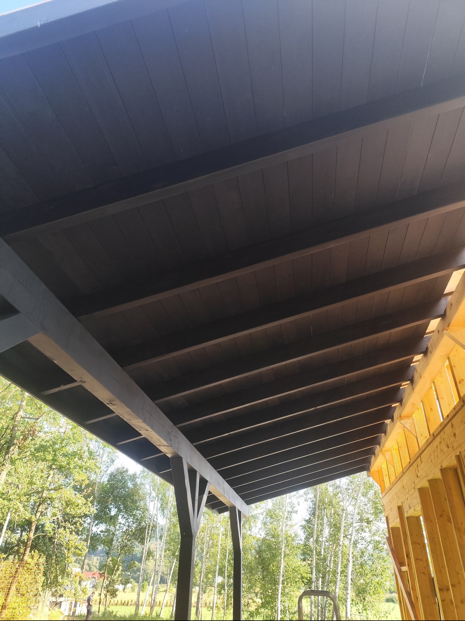 Malowany na ciemno drewniany strop z widocznymi belkami konstrukcyjnymi, fragment ściany szkieletowej i zieleń drzew w tle. Ujęcie z dołu.