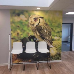 Tapetowanie Warszawa 3