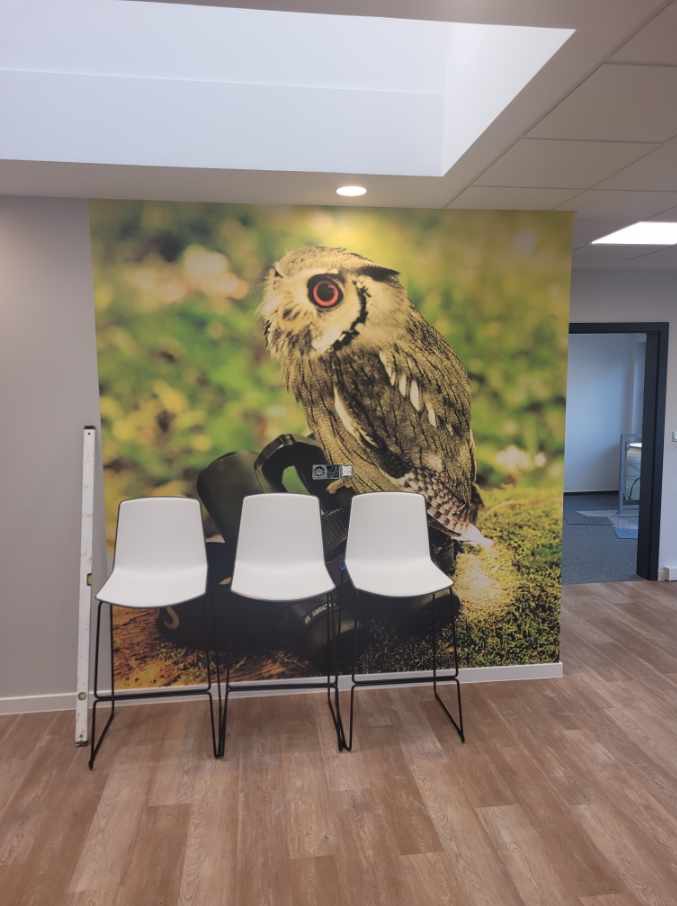 Biuro z fototapetą przedstawiającą sowę, trzy białe krzesła na pierwszym planie. Jasne drewniane panele podłogowe i widok na kolejne pomieszczenie.