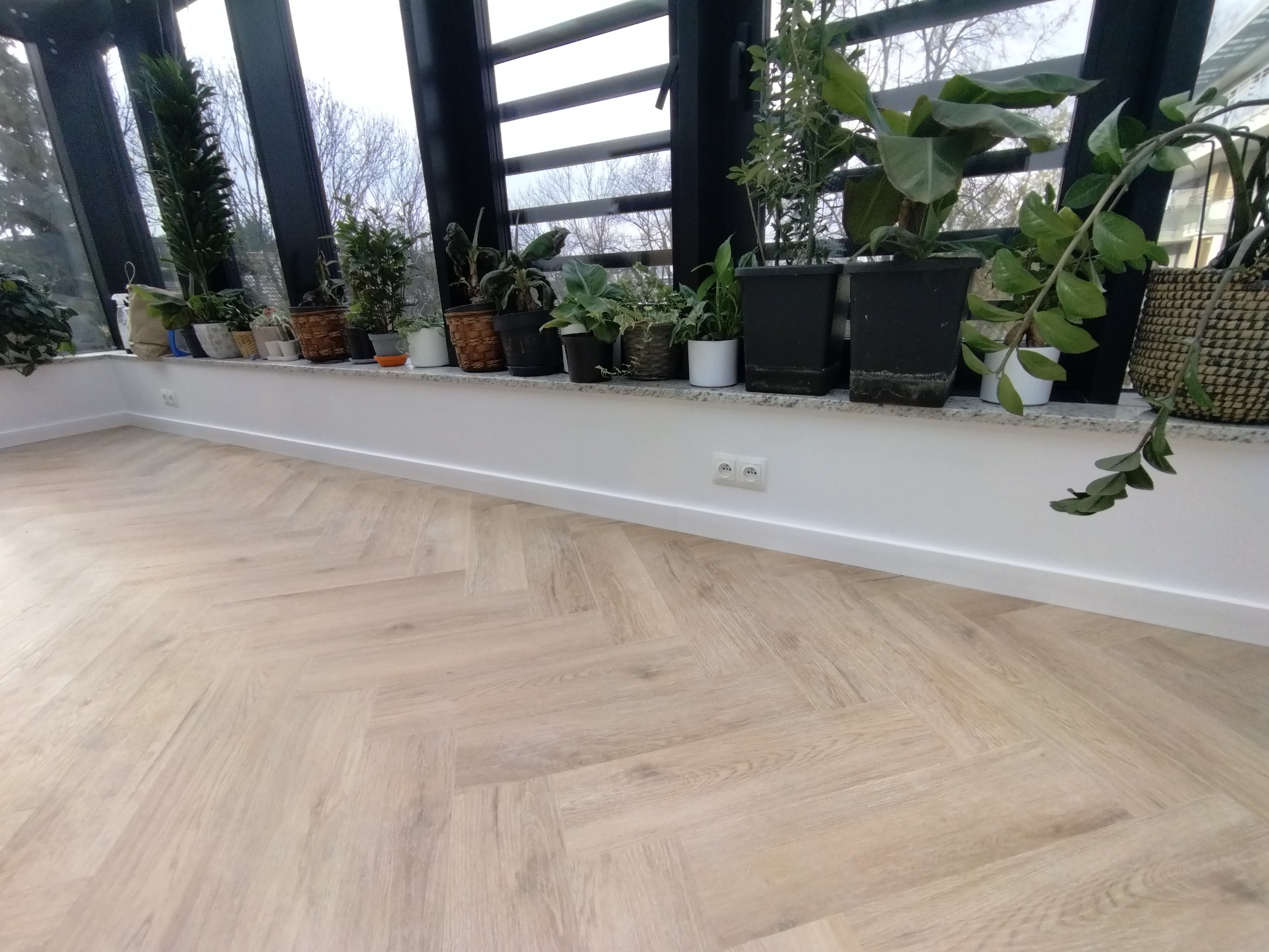 Jasna podłoga ułożona w jodełkę w słonecznym pomieszczeniu z rzędem roślin doniczkowych wzdłuż okna.