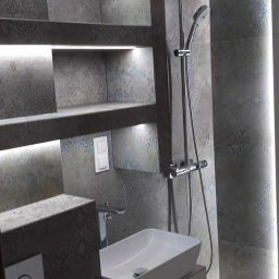 Mrówki polskie przedsiębiorstwo budowlane