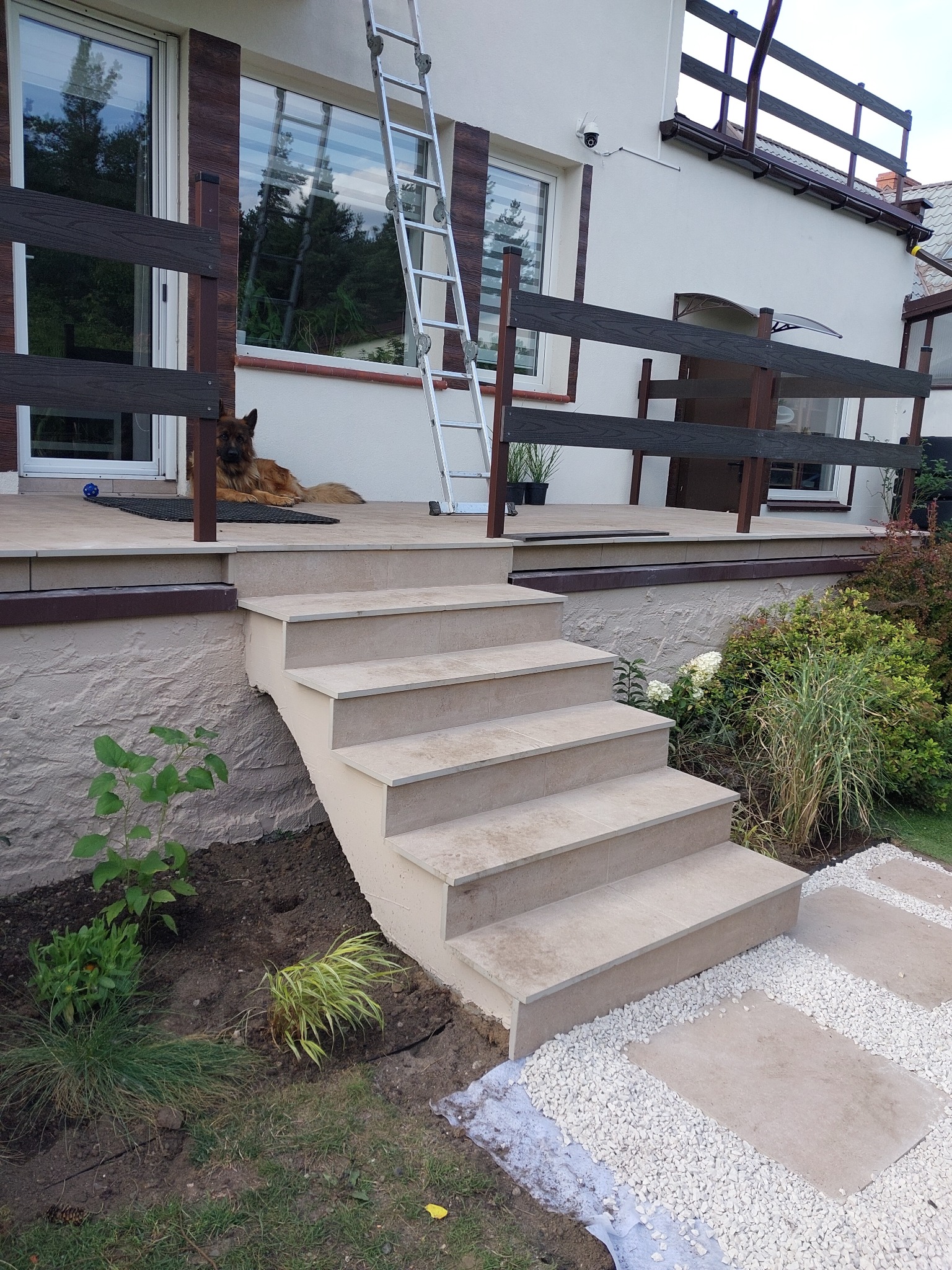 Wykończone schody zewnętrzne z płytek w odcieniach beżu, prowadzące na taras z drewnianą balustradą, na którym leży pies rasy owczarek niemiecki; w tle drabina oparta o ścianę budynku.