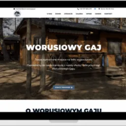 Strona internetowa ośrodka wypoczynkowego 'Worusciowy Gaj' na laptopie, prezentująca domki letniskowe w lesie. Widoczny nagłówek z menu i logo ośrodka.