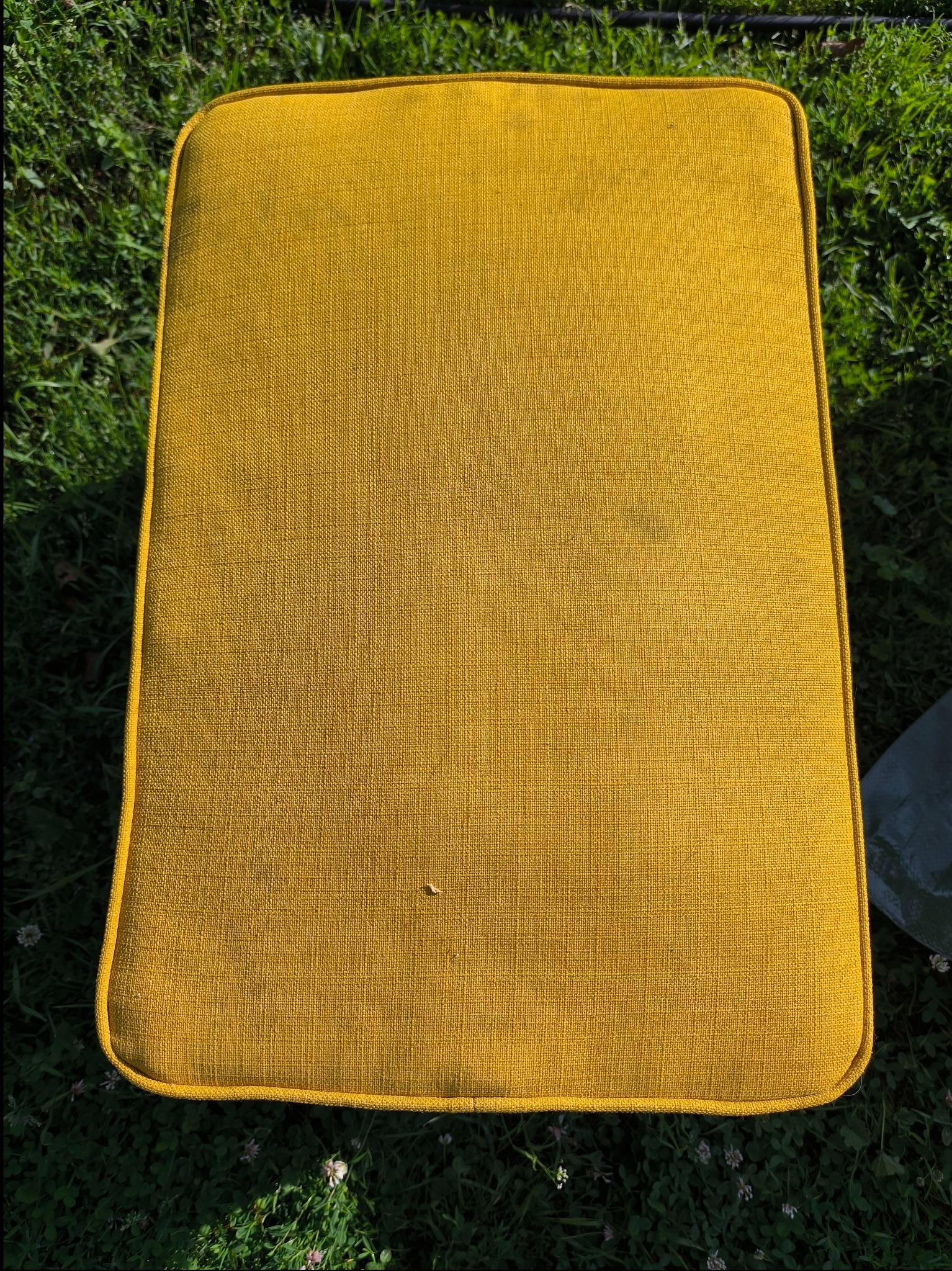 Żółta, teksturowana poduszka siedziska na tle zielonej trawy, widoczne drobne plamy na powierzchni.