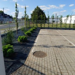 Pielęgnacja ogrodów Łubianka 2