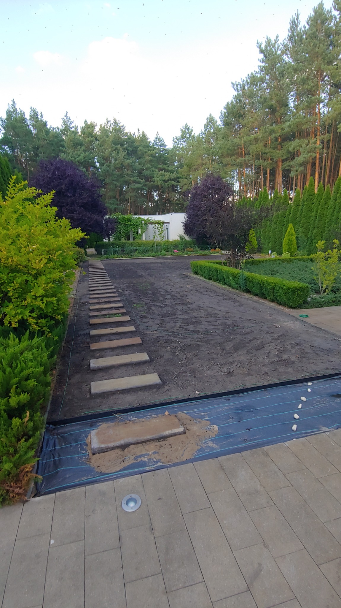 Przygotowany teren pod trawnik z rolki, widoczne kamienne płyty ścieżki i agrowłóknina. W tle drzewa iglaste i krzewy ozdobne.