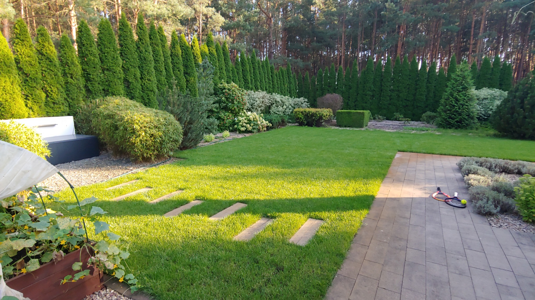 Zadbany trawnik z równo przyciętą trawą, obrzeża z roślin, rząd wysokich tuj i ścieżka z płyt w ogrodzie. W tle widoczny las.