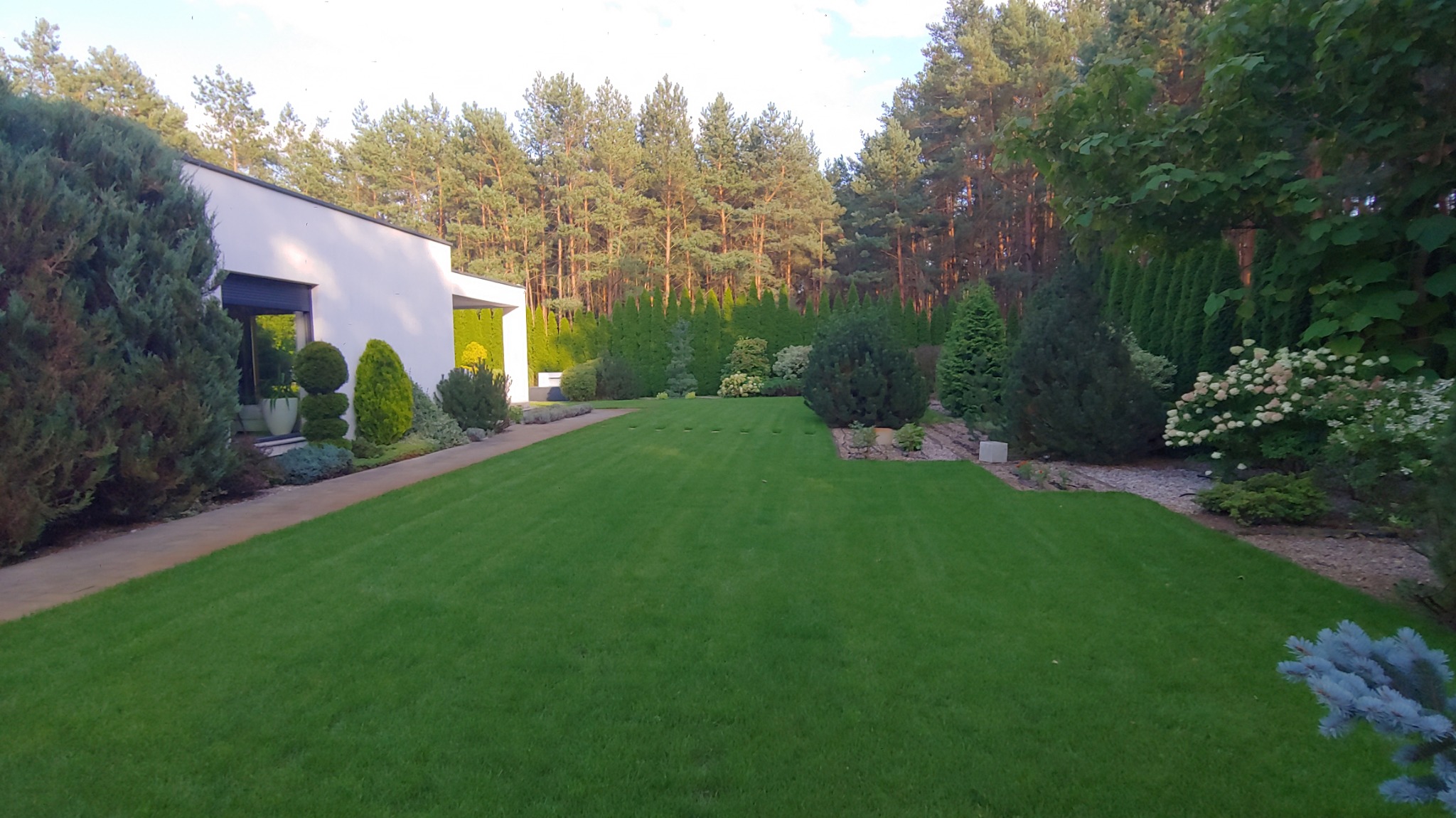 Zadbany trawnik przed nowoczesnym domem z minimalistyczną architekturą. W tle wysokie drzewa iglaste i ozdobne krzewy. Widoczne elementy małej architektury ogrodowej.