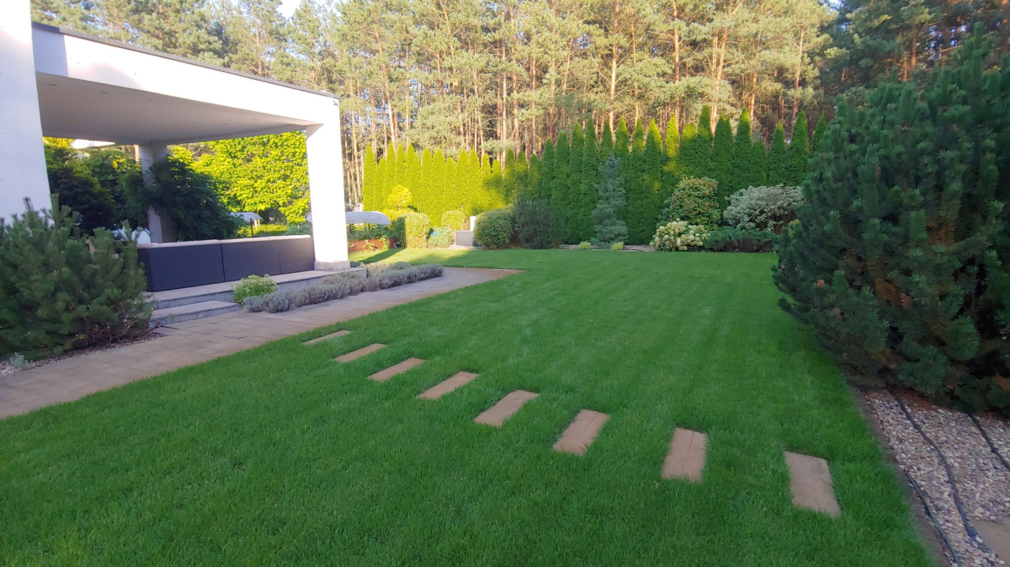 Zadbany trawnik z drewnianymi płytami ścieżki, otoczony tujami i drzewami iglastymi. Nowoczesny dom z tarasem w tle. Widok na równo skoszoną trawę i elementy małej architektury.