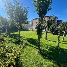 Michał Kluczek - Rozległy, zadbany trawnik z równo przystrzyżoną trawą, drzewami o różnym stopniu przycięcia gałęzi i krzewami w słoneczny dzień, z widocznym domem i szklarnią w tle.