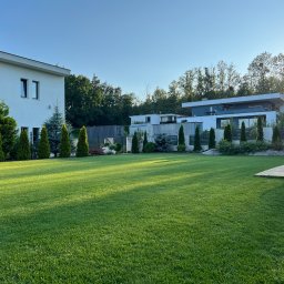 Michał Kluczek - Rozległy, idealnie przystrzyżony trawnik przed nowoczesnym domem z rzędem stożkowych drzew iglastych, oświetlony popołudniowym słońcem, z widocznym fragmentem drewnianego tarasu z czarnym fotelem...