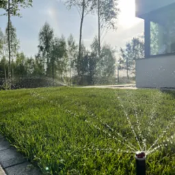 Zraszacze nawadniają soczyście zielony trawnik przy nowoczesnym domu. W tle drzewa liściaste i jasne niebo. Widoczne krople wody w powietrzu.