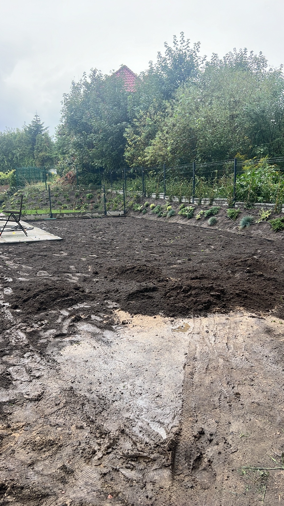 Przygotowany teren pod trawnik, świeżo przekopana ziemia z widocznymi śladami opon, w tle ogrodzenie z siatki i linia zasadzonych roślin przy obrzeżu.