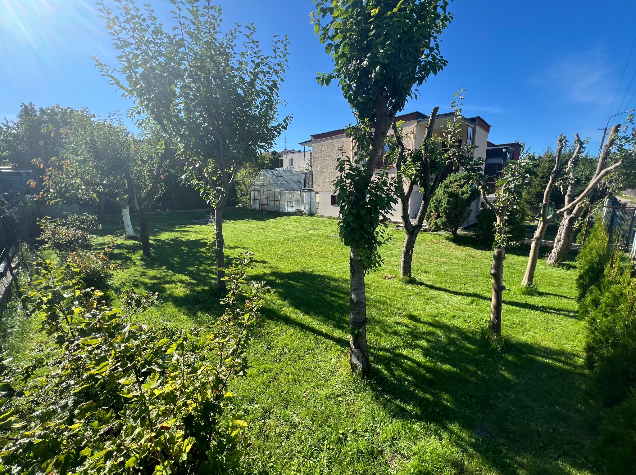 Rozległy, zadbany trawnik z równo przystrzyżoną trawą, drzewami o różnym stopniu przycięcia gałęzi i krzewami w słoneczny dzień, z widocznym domem i szklarnią w tle.