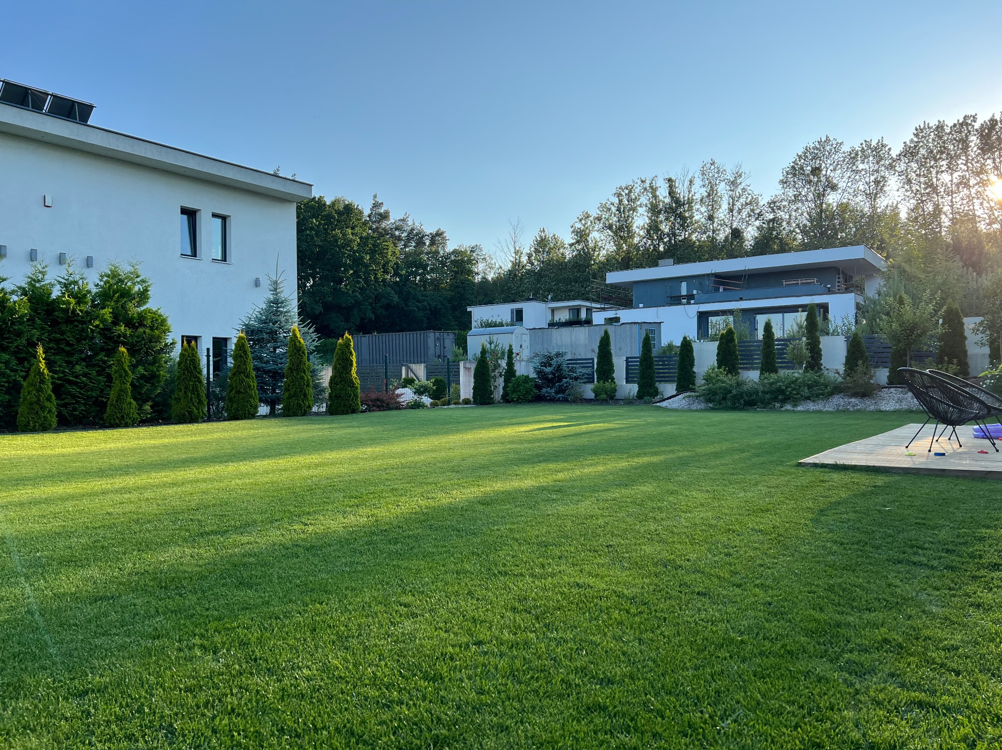 Rozległy, idealnie przystrzyżony trawnik przed nowoczesnym domem z rzędem stożkowych drzew iglastych, oświetlony popołudniowym słońcem, z widocznym fragmentem drewnianego tarasu z czarnym fotelem...