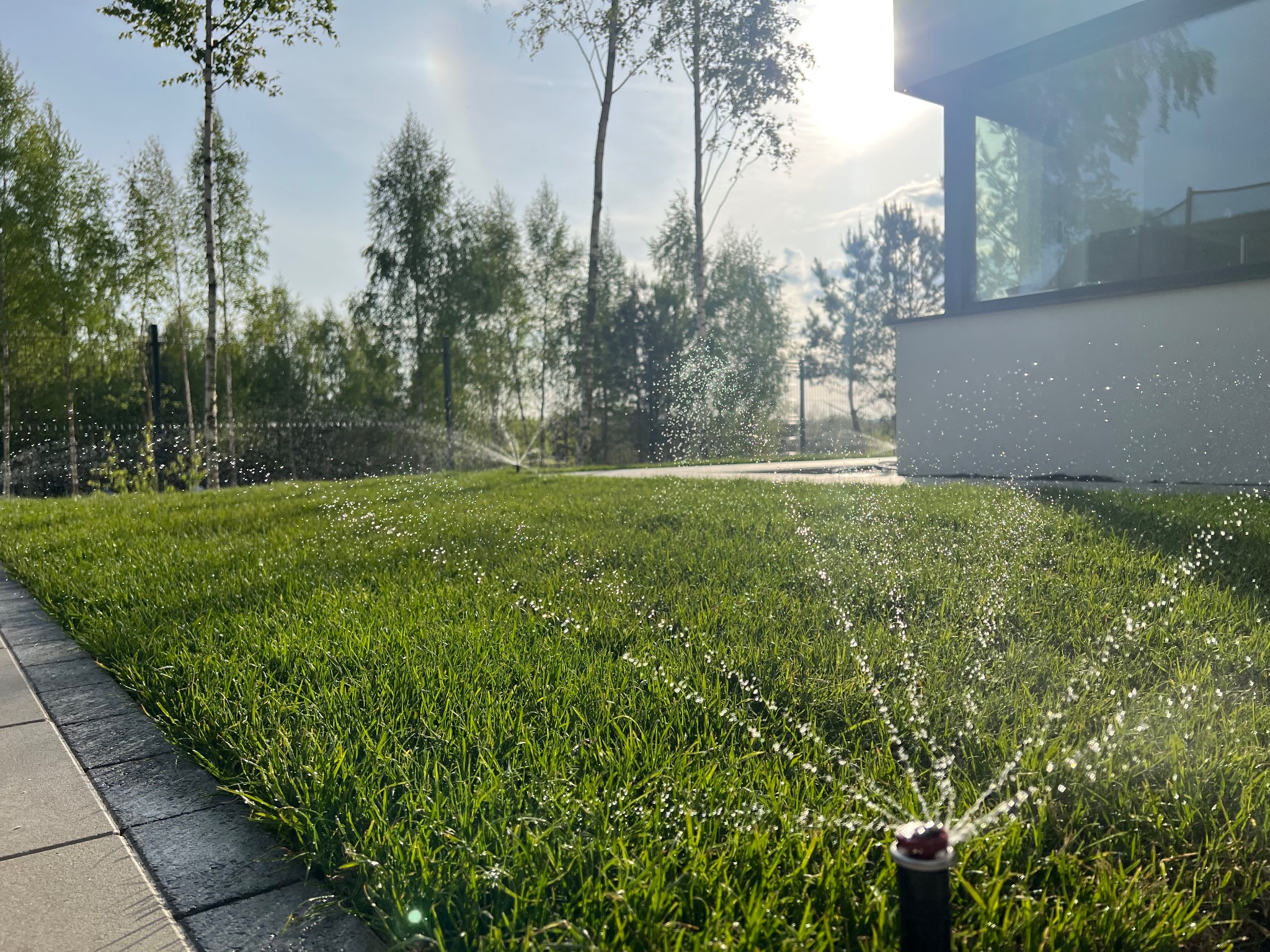 Zraszacze nawadniają soczyście zielony trawnik przy nowoczesnym domu. W tle drzewa liściaste i jasne niebo. Widoczne krople wody w powietrzu.