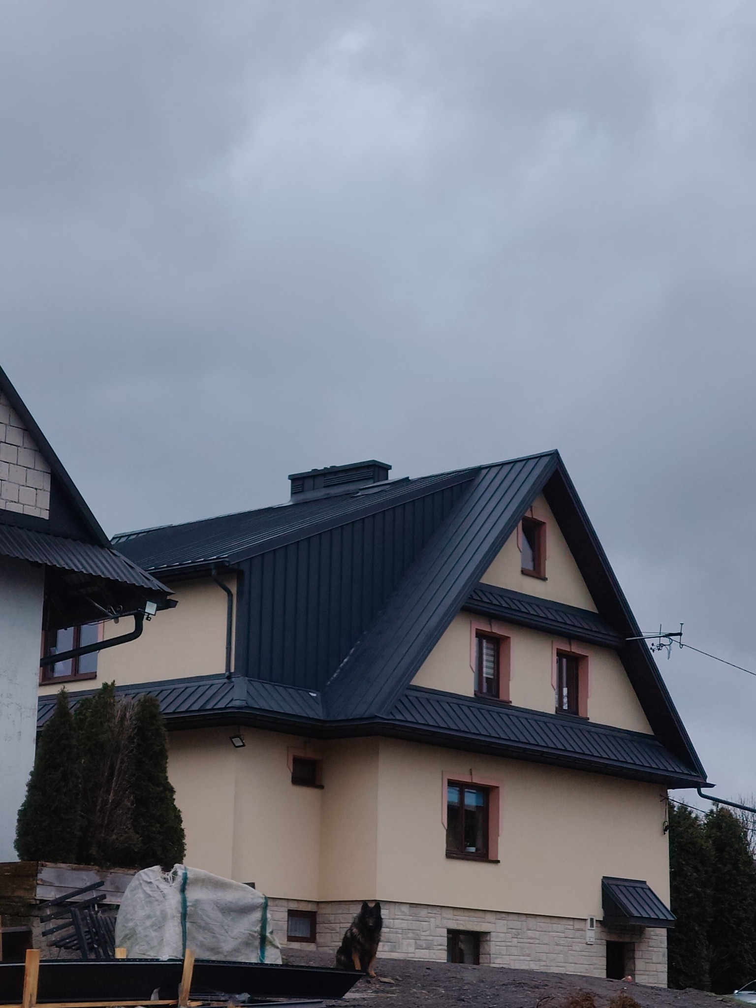 Dom jednorodzinny z ciemnym, metalowym pokryciem dachowym, widoczny z dołu, z elementami obróbek blacharskich, na tle pochmurnego nieba, z psem siedzącym na ziemi.