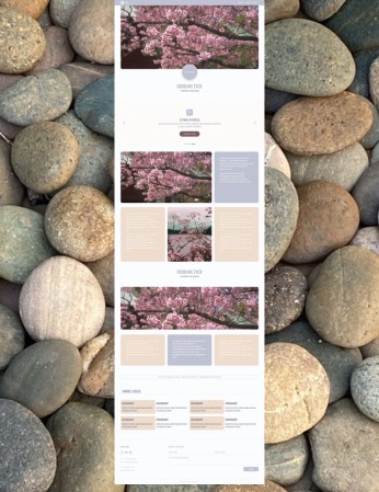 Elegancki projekt strony internetowej z motywem kwitnącej wiśni, zaprezentowany na tle z kamieni rzecznych. Minimalistyczny design, pastelowa kolorystyka, nowoczesny układ.