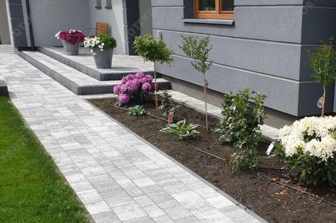 Ułożona kostka brukowa prowadząca do wejścia domu z szarą elewacją, rabata z kwitnącymi rododendronami i młodymi drzewkami, donice z kwiatami na schodach.