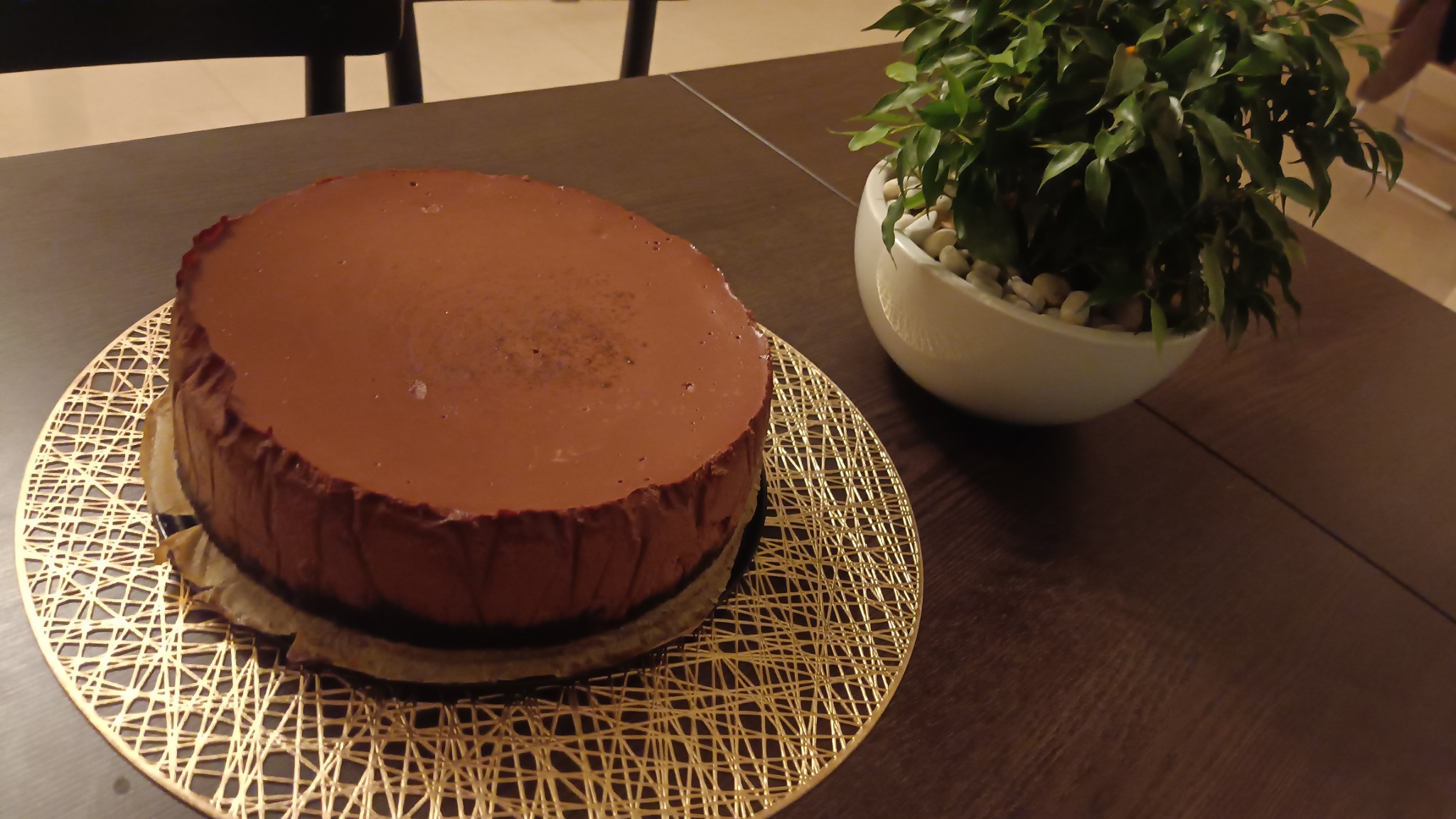 Czekoladowy tort na złotej podkładce z dekoracyjną rośliną w białej doniczce na ciemnym drewnianym stole.