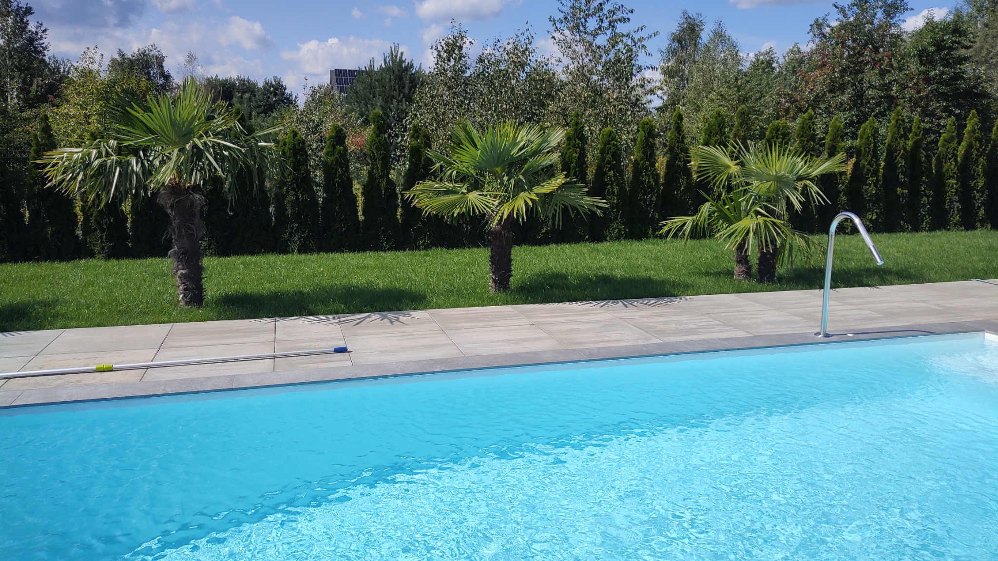 Błękitna woda w basenie otoczonym jasnoszarą kostką brukową, z trzema palmami i zielonym trawnikiem w tle, widoczny fragment stalowej poręczy i kij do czyszczenia na brzegu.