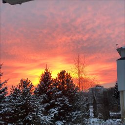 Nikodem Pańko - Malowanie w Firmach Rzeszów