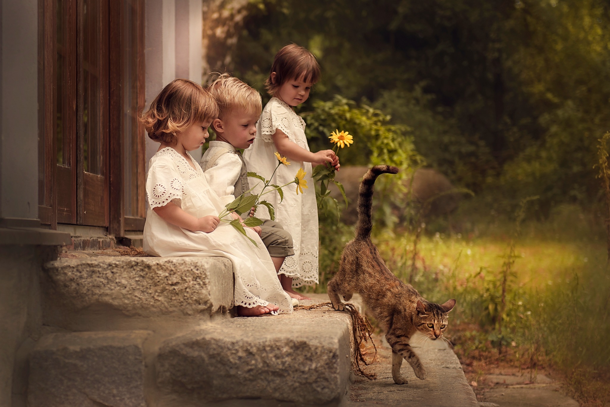 Troje dzieci w białych sukienkach siedzi na kamiennych schodach werandy, trzymając żółte kwiaty; pręgowany kot z podniesionym ogonem przechodzi obok.