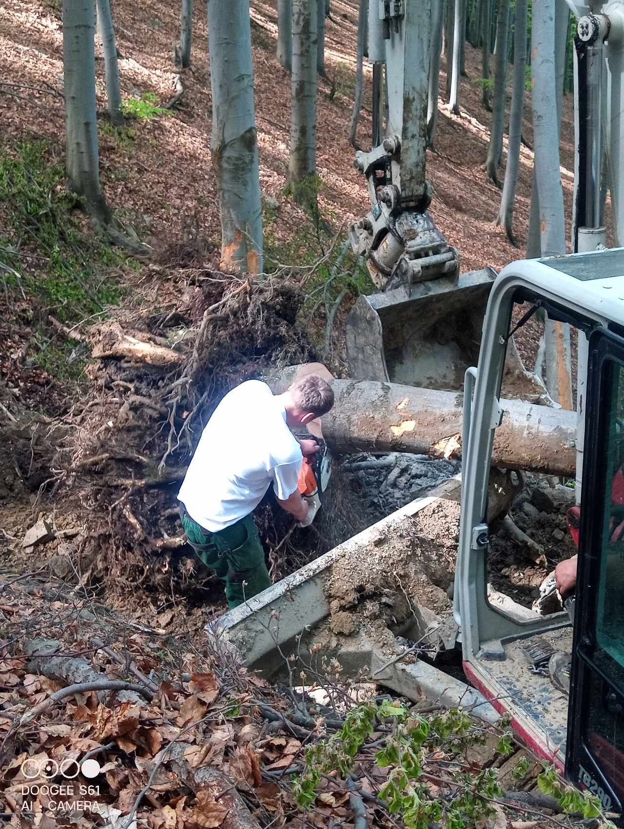 Pracownik w białej koszulce tnie piłą spalinową korzeń drzewa w lesie, obok koparka z łyżką i kabina pojazdu z widocznym panelem sterowania.