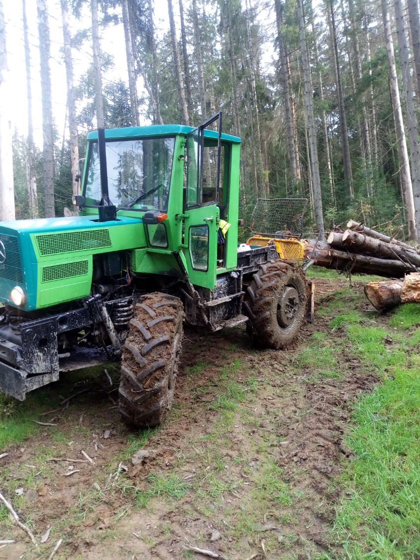 Zielony traktor z przyczepą w błotnistym terenie leśnym, ciągnący ścięte pnie drzew