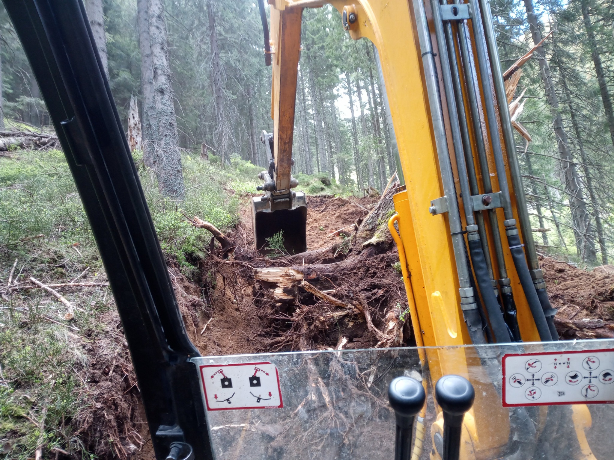 Żółta koparka gąsienicowa, widziana z kabiny, wykonuje wykop w zalesionym terenie, odsłaniając korzenie drzew.