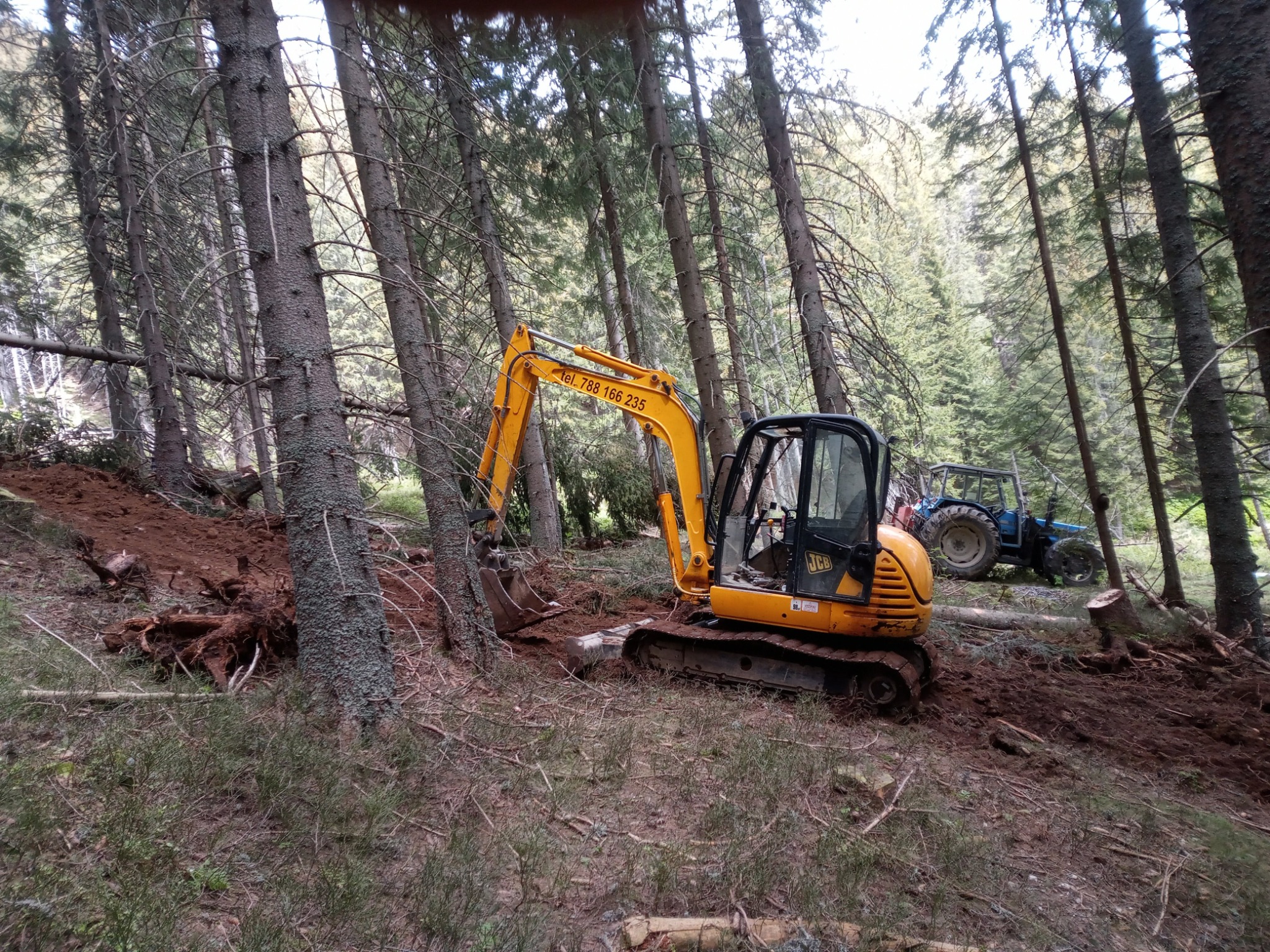 Żółta mini koparka JCB w lesie, obok wykopana ziemia i korzenie drzew, w tle niebieski traktor.