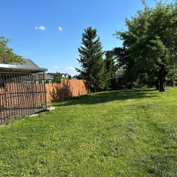 Koszenie trawy Banino 3