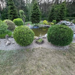 Koszenie trawy Banino 4