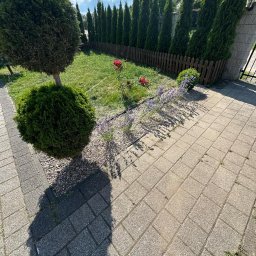 LMS GREEN SERWIS - Ujęcie z góry na wypielęgnowany ogród z równo przystrzyżonym trawnikiem, niskimi krzewami, rabatą z kwiatami i wysokimi tujami w tle, oddzielonymi niskim płotkiem. Na pierwszym planie widoczna...